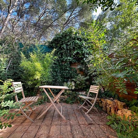 Charmant Studio Lodge Climatise Avec Jardin Et Vue Sur Le Pic Saint Loup Jacou Dış mekan fotoğraf