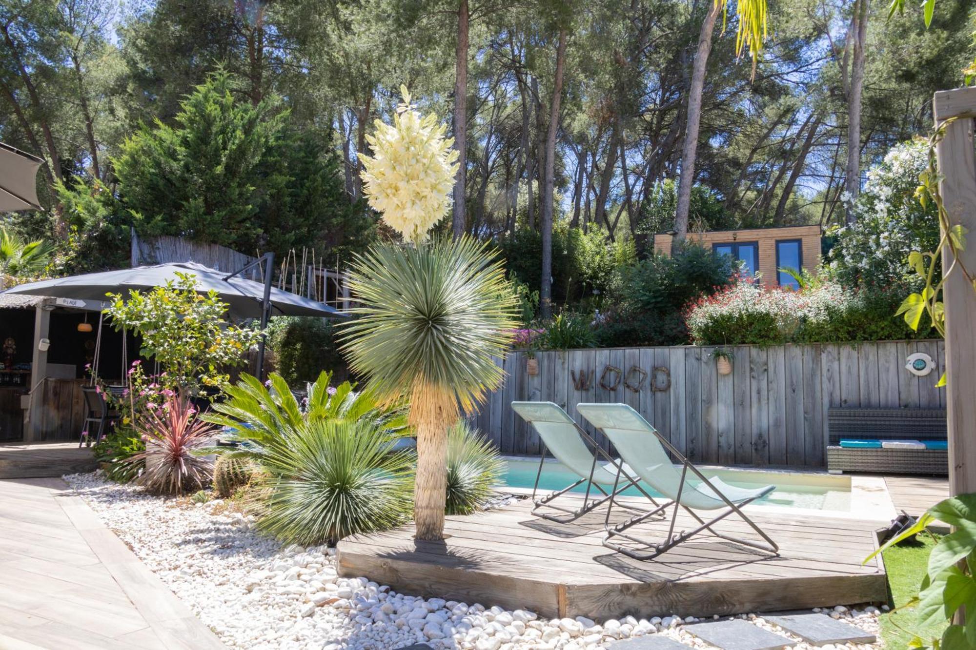 Charmant Studio Lodge Climatise Avec Jardin Et Vue Sur Le Pic Saint Loup Jacou Dış mekan fotoğraf